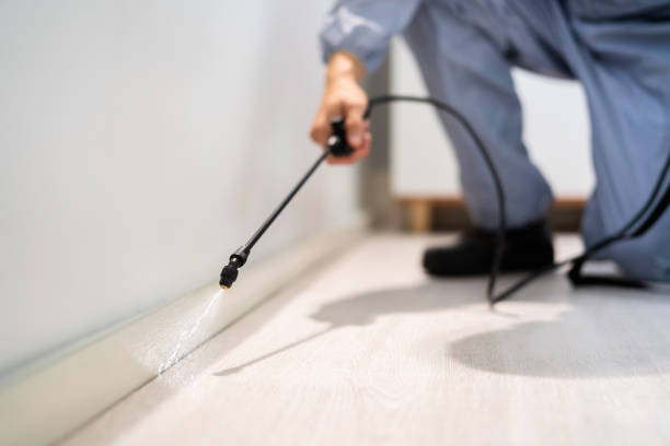 Professional exterminator conducting IPM assessment in Montrose